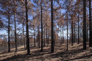 Gran Canaria  October 2017