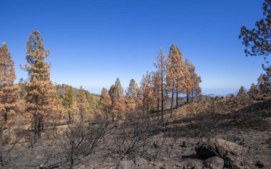 Gran Canaria  October 2017