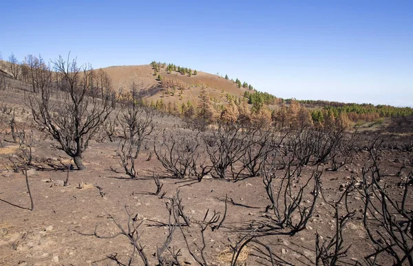 Gran Canaria  October 2017
