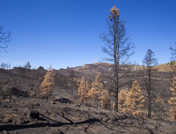 Gran Canaria  October 2017