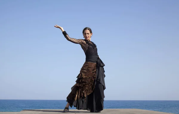 Flamenco di ocascar de — Foto Stock