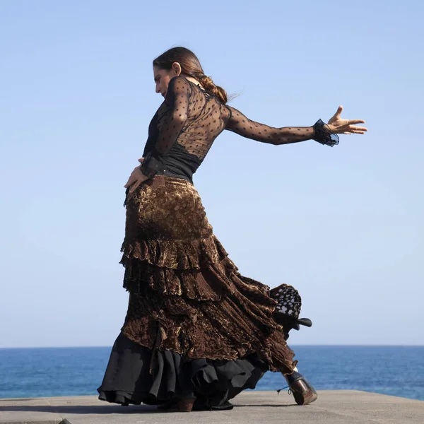 Flamenco in riva al mare — Foto Stock