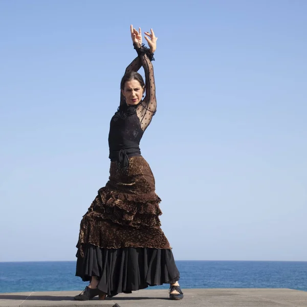 flamenco by the ocean