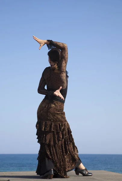 Flamenco by the ocean — Stock Photo, Image