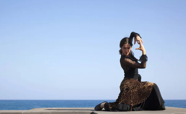 Flamenco am Meer — Stockfoto