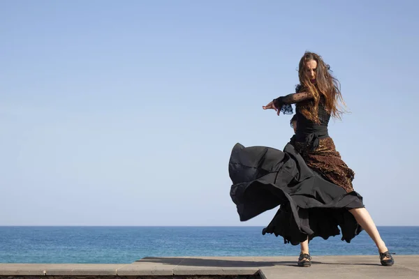 Flamenco in riva al mare — Foto Stock