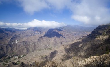 Büyük Kanarya, Kasım