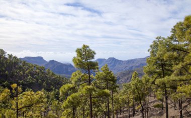 İç Gran Canaria