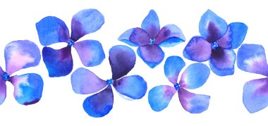 Beyaz sınırında sorunsuz suluboya çiçek