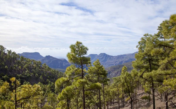İç Gran Canaria