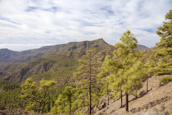 Śródlądowych Gran Canaria — Zdjęcie stockowe