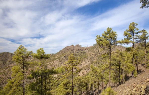 Interior de Gran Canaria —  Fotos de Stock