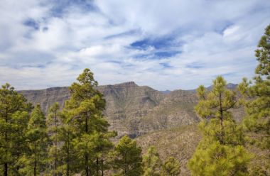İç Gran Canaria