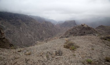 Büyük Kanarya, Aralık
