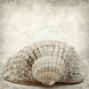 desenli eski kağıt arkaplan  