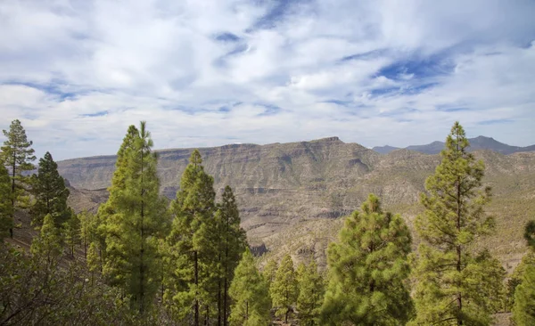 Gran Canaria im Landesinneren — Stockfoto