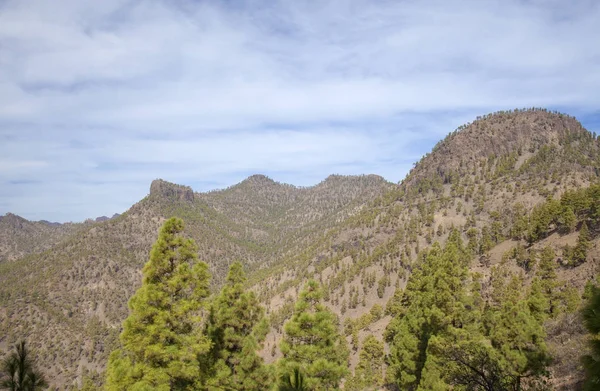 Gran Canaria im Landesinneren — Stockfoto