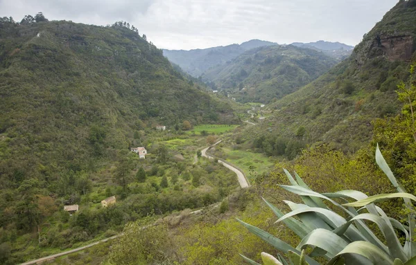 Gran Canaria Vue Sur Réserve Naturelle Intégrale Barranco Oscuro Décembre — Photo