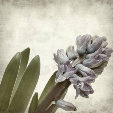 desenli eski kağıt arkaplan  