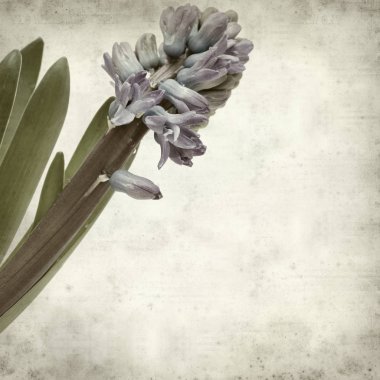 desenli eski kağıt arkaplan  