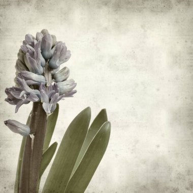 desenli eski kağıt arkaplan  