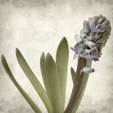 desenli eski kağıt arkaplan  