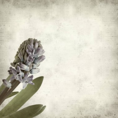 desenli eski kağıt arkaplan  