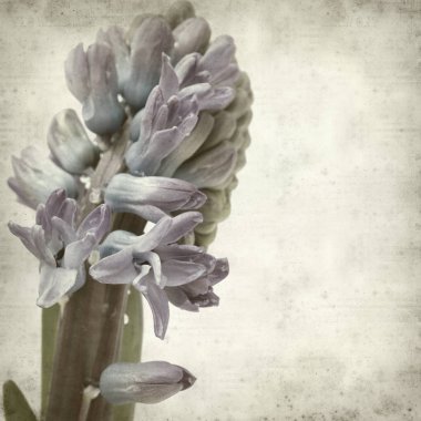 desenli eski kağıt arkaplan  