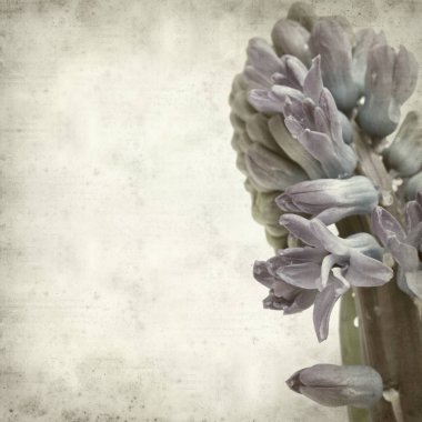 desenli eski kağıt arkaplan  