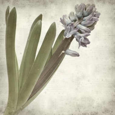 desenli eski kağıt arkaplan  