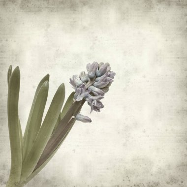 desenli eski kağıt arkaplan  