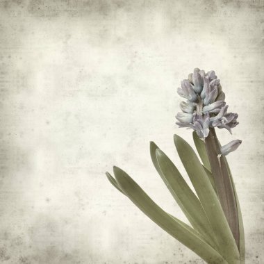 desenli eski kağıt arkaplan  