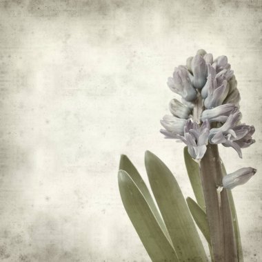 desenli eski kağıt arkaplan  