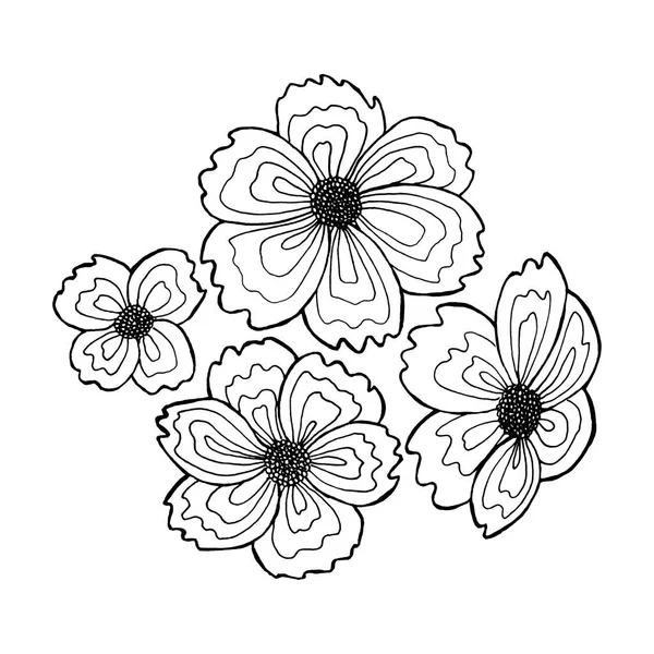 Set di fiori disegnati a mano — Foto Stock