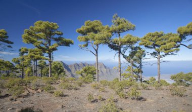 Gran Canaria, Ocak 2018
