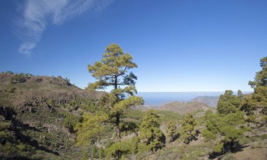 Gran Canaria, Ocak 2018