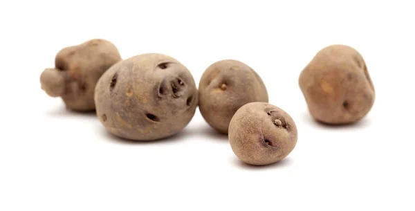Potatis på Teneriffa — Stockfoto