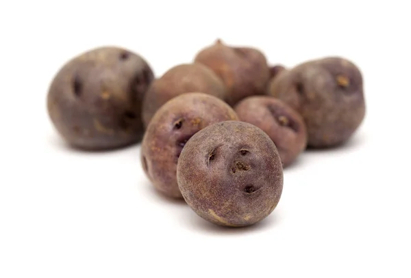 Potatoes of Tenerife — Stock Photo, Image