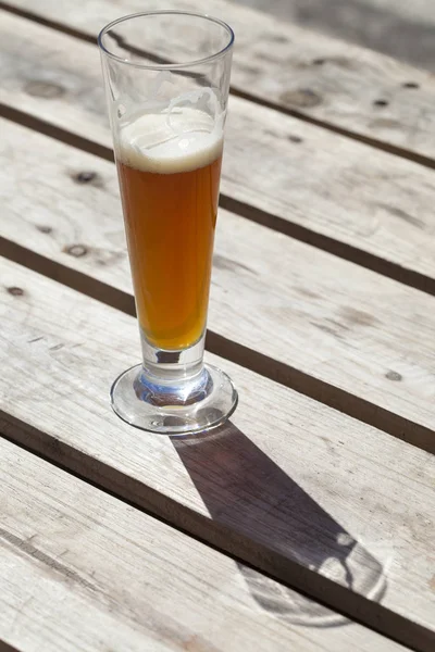 Nefiltrované pivo na slunci — Stock fotografie