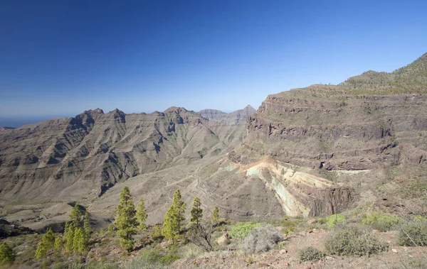 Oeste de Gran Canaria, febrero 2018 —  Fotos de Stock