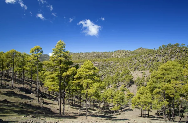 Na zachód od wyspy Gran Canaria, lutego 2018 — Zdjęcie stockowe