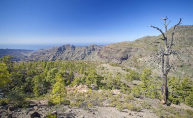 Gran Canaria batısında, Şubat 2018