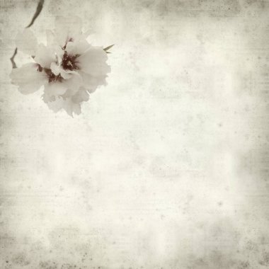 desenli eski kağıt arkaplan  