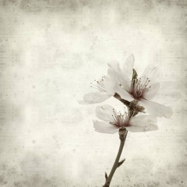 desenli eski kağıt arkaplan  