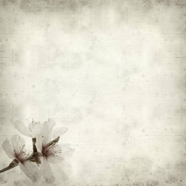 desenli eski kağıt arkaplan  