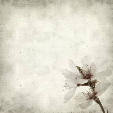 desenli eski kağıt arkaplan  