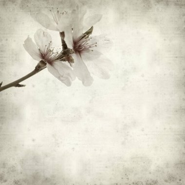 desenli eski kağıt arkaplan  