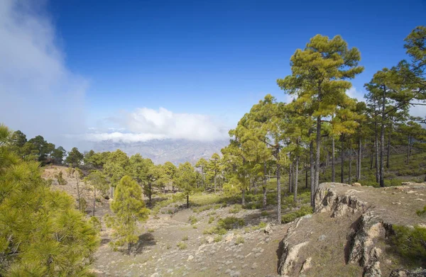 Ten westen van Gran Canaria, februari 2018 — Stockfoto
