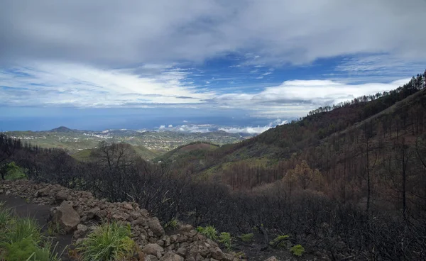 Gran Canaria, marzo 2018 — Foto Stock