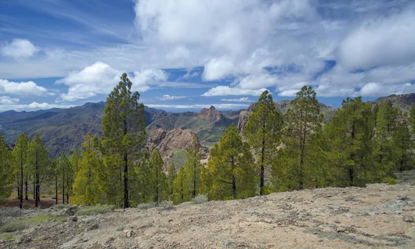 Gran Canaria, březen 2018 — Stock fotografie